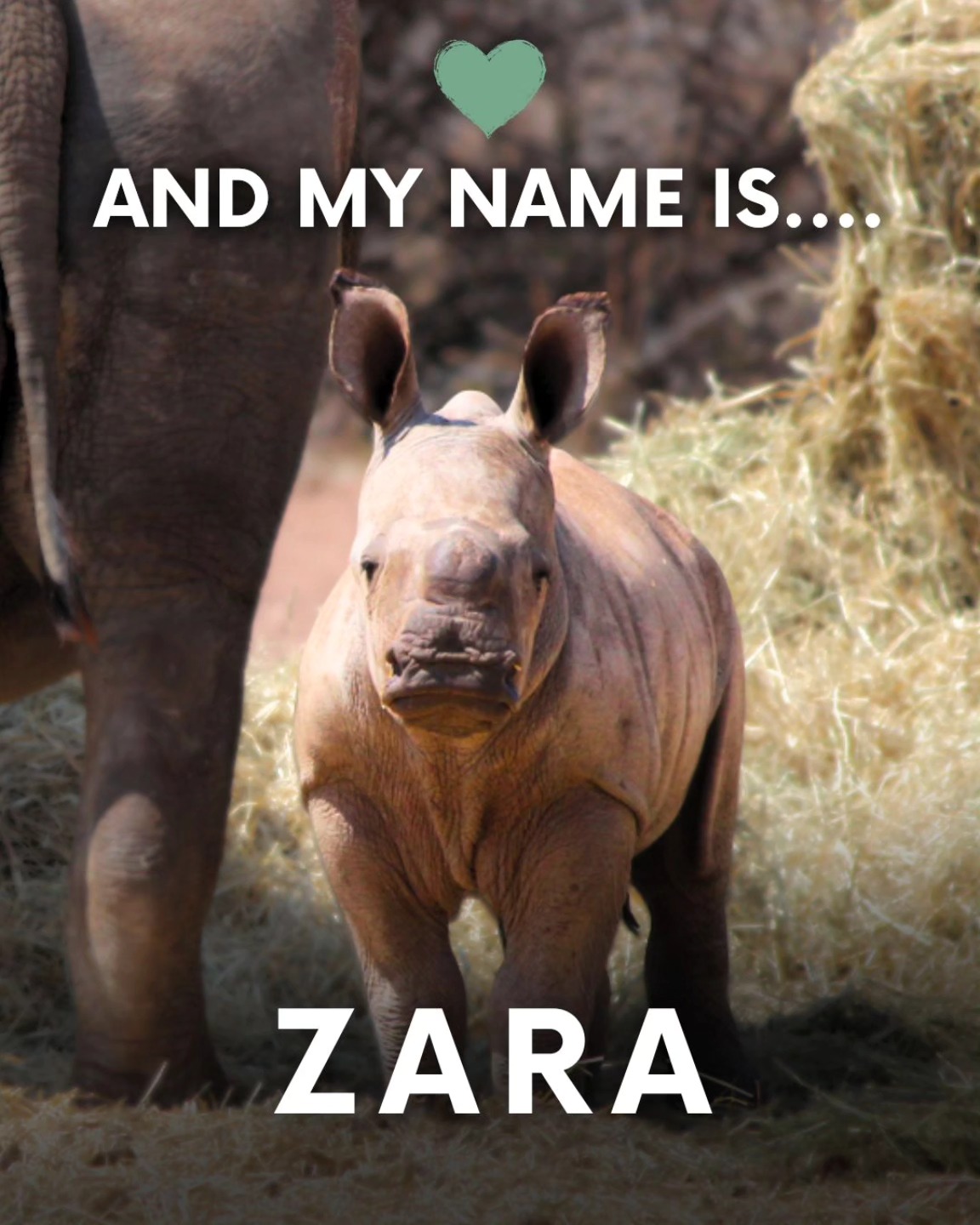 591294083_1297783709058723_281882297916827171_n