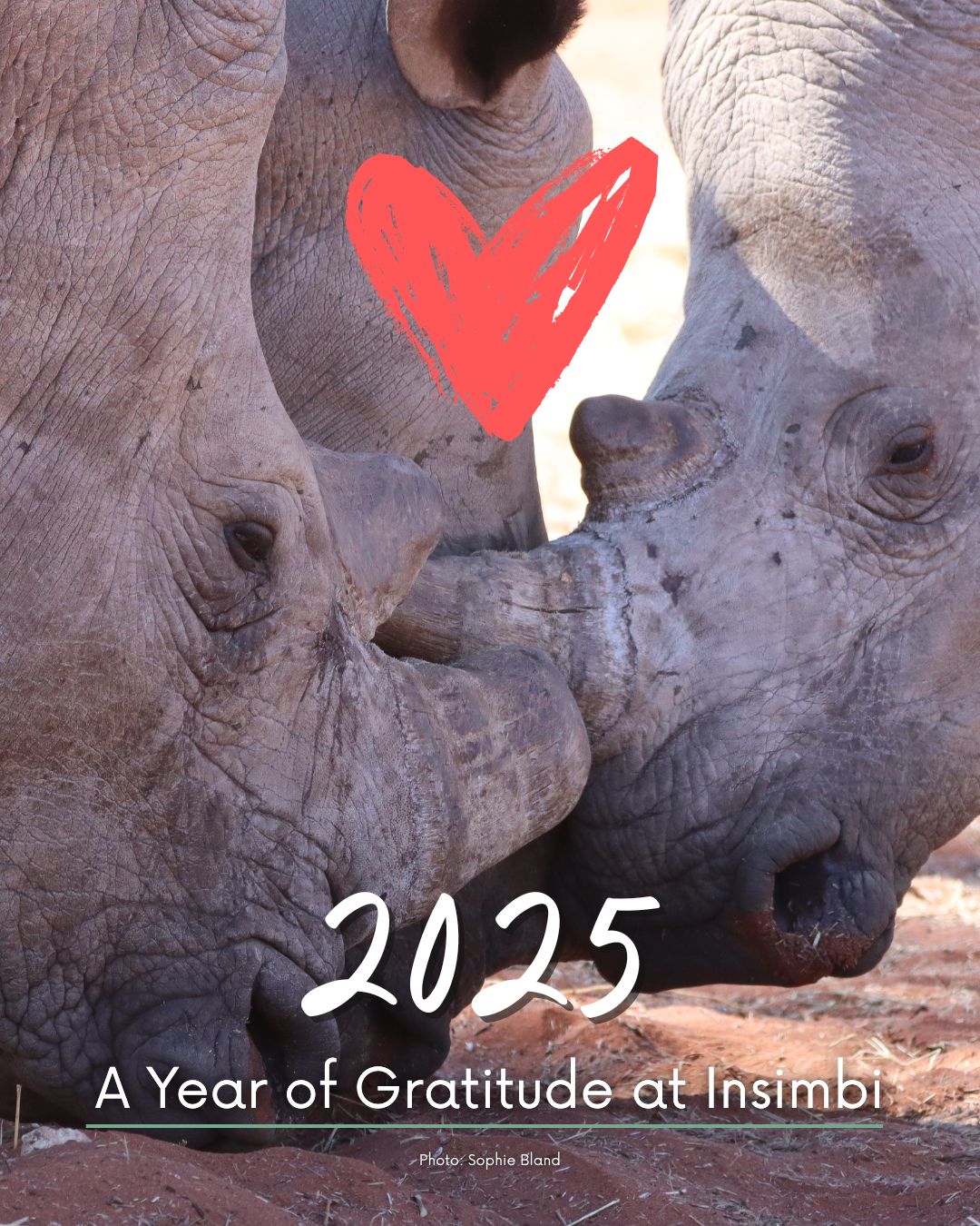 608774630_1322683959902031_3893041204112485082_n