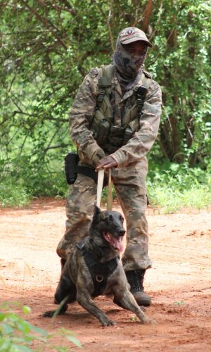 Insimbi Legacy k9 UNIT